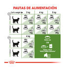 Royal Canin Active Life Outdoor pienso para gatos, , large image number null